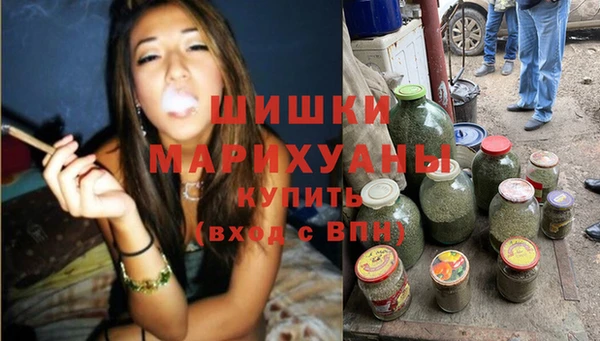твердый Аркадак